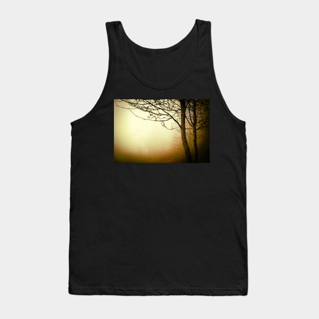 Warm golden fog with trees Tank Top by heidiannemorris